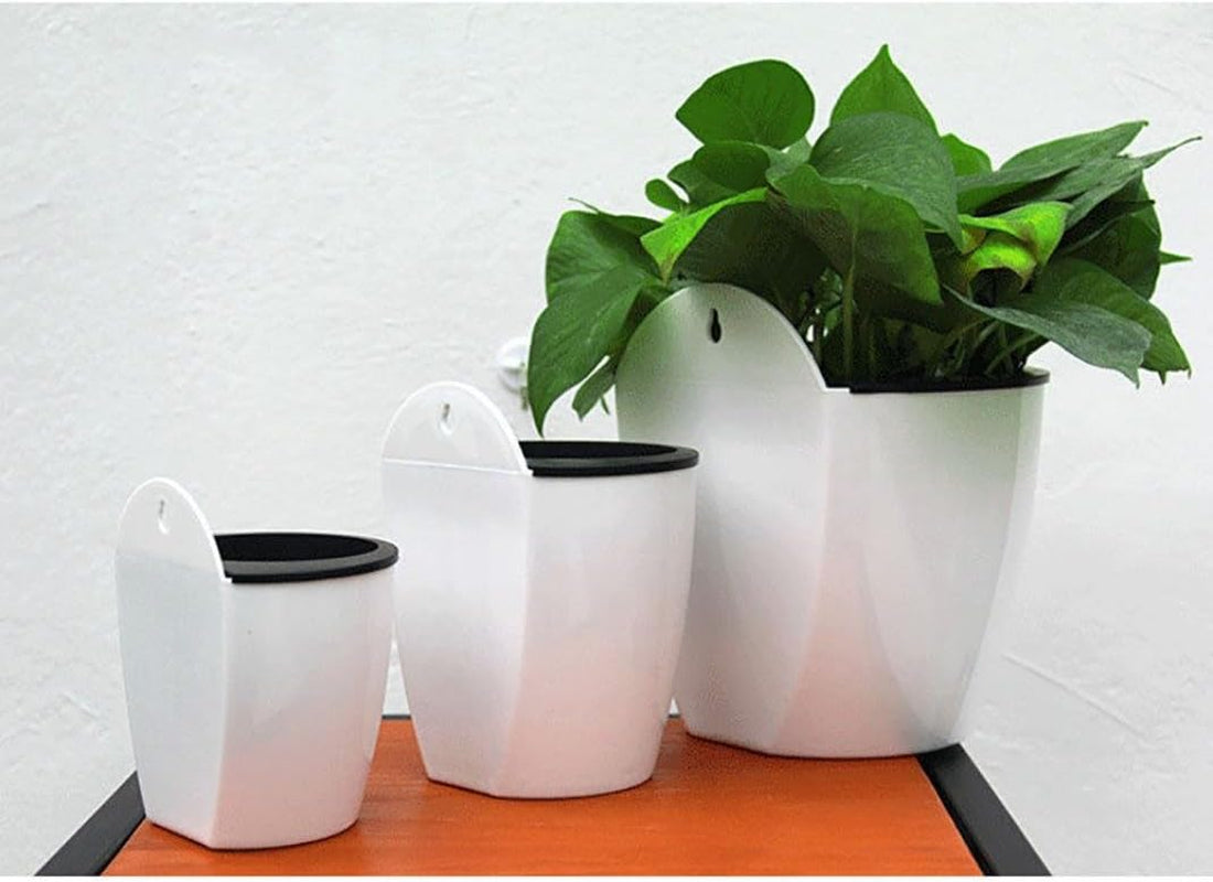 Elevate Your Space with Our Sassy Self-Watering Wall Pot: The Ultimate Flower Holder for Indoor Jungle Vibes!