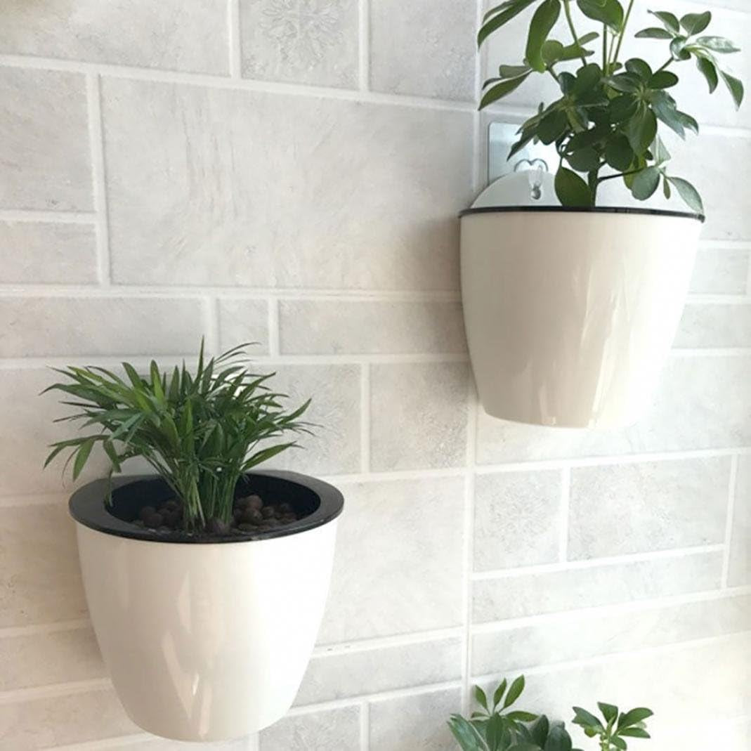 Elevate Your Space with Our Sassy Self-Watering Wall Pot: The Ultimate Flower Holder for Indoor Jungle Vibes!