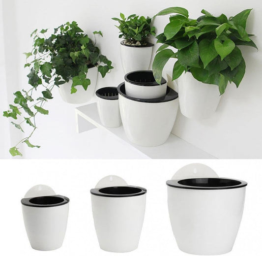 Elevate Your Space with Our Sassy Self-Watering Wall Pot: The Ultimate Flower Holder for Indoor Jungle Vibes!